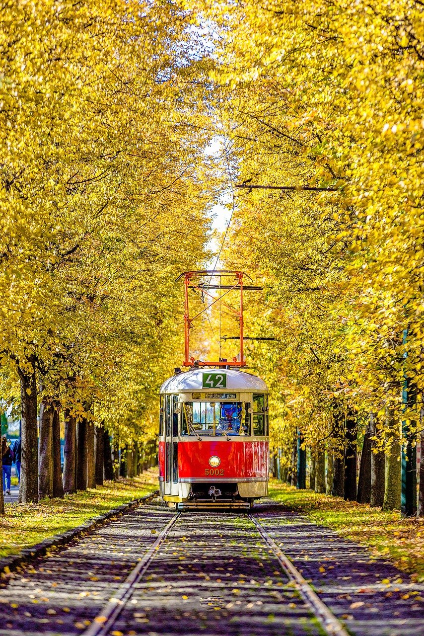 metro, fall, yellow leaves, history, prague, engine, transportation, tram, fall, prague, prague, prague, prague, prague, engine, transportation, transportation, transportation, transportation, tram, tram, tram