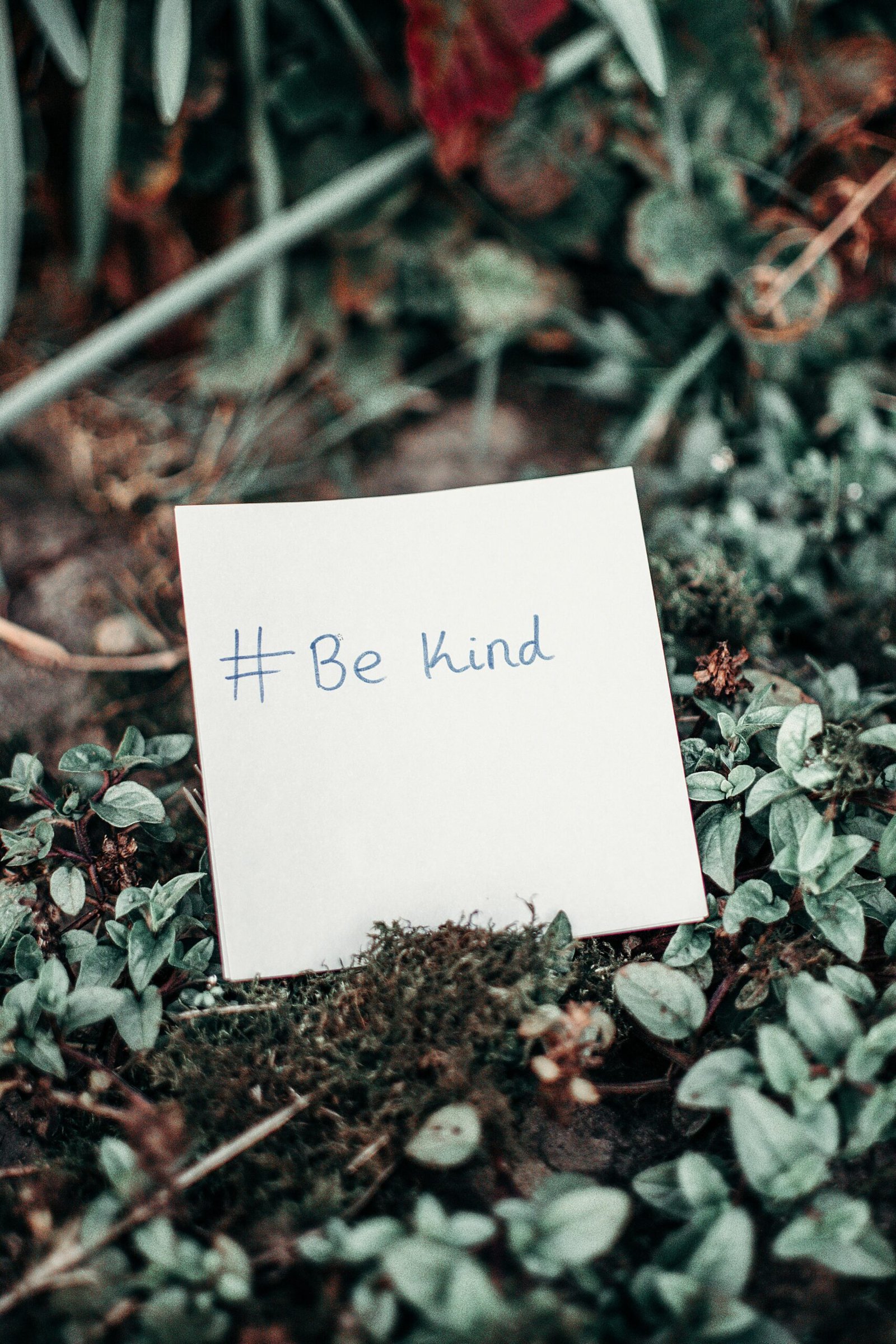 Close-up of an inspirational note with 'Be Kind' hashtag placed on lush green grass.